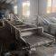 Industrial Brush Washing Bubble Washer Factory Price Tomato Bubble Washing Line