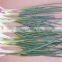 wholesale good quality factory price Chinese frozen green onion