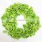IQF Frozen Green Soybean Half Kernel Peeled Edamame Kernel