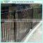Loop top 1200H*2400W decorative pool fencing