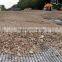 Geogrid mesh
