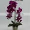 New Arrivals Butterfly Orchid Flower Artificial With Vase