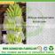 PP Spunbond Nonwoven White Roll/100% Polypropylene Agriculture Product/Eco Banana Bag Non woven Fabricas de telas
