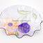 2015 fashional transparent acrylic color printing fruit plate dry fruit plate