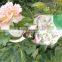 Esschert Design Rose Printed Pruning kids garden tool set