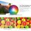 Daylight Projector 8000:1 Contrast Ratio 2000 Lumens Led Projector