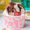 Single Wall Personalized Double PE Ice Cream Bowl/Cup With Lid