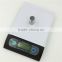 Promotion constant kitchen weighing scale for electronic gift items