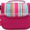2015 style lunch cooler bags promotional in China manufacturer