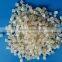100%biodegradable And Compostable Raw Material for Casting Film