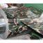 Variety patterns ppgi for multifunctional shipping container homes