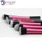 New design custom plastic brush 5 pcs makeup brush set