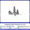 Stainless steel Self-drilling and tapping screws with Hexalobular socket pan/ countersunk/ raised countersunk head