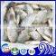 Best price tilapia fish farming raised