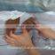 NEW!!! China brown sheep wool waste 36-45mic&40-50mm