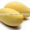 Namdokmai Fresh Golden Mango Grade A 400-500 G Loose Pack From Thailand