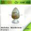 Food Supplement Maitake Mushroom Powder