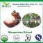 Kosher Certified GMP OEM Mangosteen Capsules