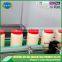 Special Flavour Chilled Garlic Paste
