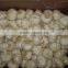 China Garlic Supplier