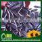 White/ Black Hulled White Sunflower Seeds 2015 New Crop
