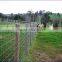 single twisted Barbed wire 4 barbs/galvanized barbed wire