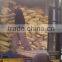 ISO9001 manufacturer Seaweed organic granular fetilizer shining black color