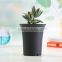 Decorative Modern Black Plastic Indoor Succulent Plant pot