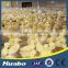 Poultry Chicken Farming Equipment Plastic Slats for Poultry