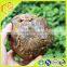 Green Raw Propolis Sodium Hydroxide Solution For Wine With Raw Material