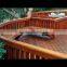 New style Wood plastic composite Recycled WPC Wall