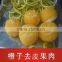 Durable fruit and vegetable peeling machine