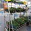 Hot Sale Outdoor Wooden Flower Display Cart