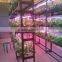 Professional Factory Price Hydroponic Greenhouse