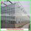 Hot Sale Multi-span Glass 9.6m Agriculture Greenhouse for Vegetables