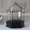 Micro landscape indoor glass greenhouse/ clear glass indoor plant terrarium /Geometric Glass Terrarium