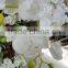 China factory make white fake orchid flower tree for interior decoration