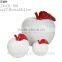 2015Fashion Ceramic apple family Decoration