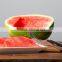 2016 trade assurance supplier for the stainless steel 430 material watermelon slicer corer