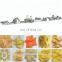 CE Full Automatic Tortilla Mahine Doritos Equipment Nacho Chips Production Line