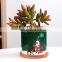 Nordic Simple Christmas Round Green Plant Ceramic Flower Pot Garden Decoration