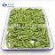 Sinocharm Bulk Price IQF Frozen Green Soybeans in 3 Pods