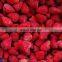 Sinocharm BRC A Approved 15-25MM A13 IQF Strawberry Whole Frozen Sweet Strawberry