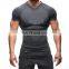 Professional User Muscle Fit Premium High Ranked Hot Seller T.shirts with custom logo