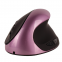 Hot Sell OEM Desktop Gaming Mouse 2.4Ghz PC Wireless Ergonomic Mouse Computer Accessories Office Silent Mute Mouse