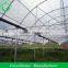 Galvanized Steel Frame Greenhouse