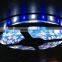 lux class rgbw led stripe 5050 cheap