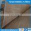 Natural wood 0.28-0.30mm plywood water gum veneer