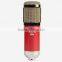 External handy cheap professional Microphone for singing