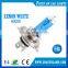 Factory supply super white 12V 100/90W H4 halogen lamp